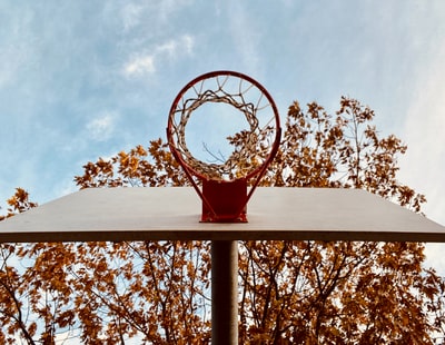 Basketball ring worm perspective of photography
